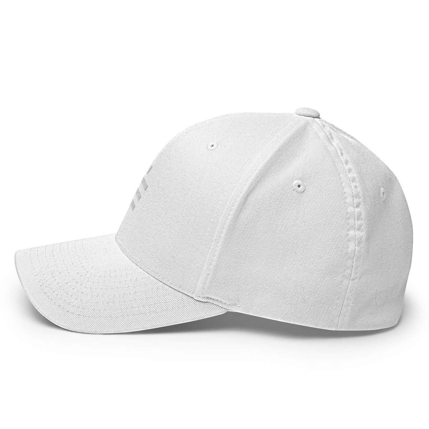 Satoshi Cap