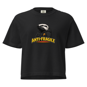 Antifragile