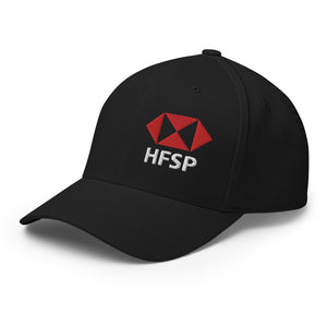 HFSP Bitcoin Cap - view 10