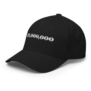 21,000,000 Cap - view 10