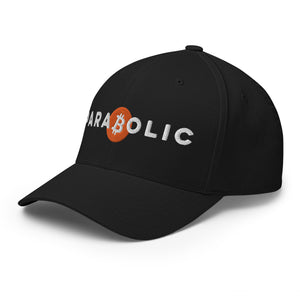 Parabolic Bitcoin Cap - view 10