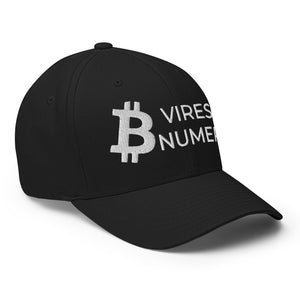 Bitcoin Vires In Numeris Cap - view 6