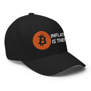 Inflation is Theft Cap - view 12