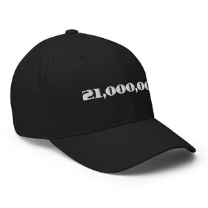 21,000,000 Cap - view 12
