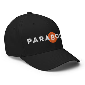 Parabolic Bitcoin Cap - view 12