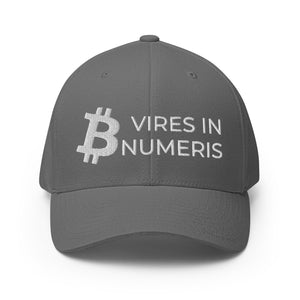 Bitcoin Vires In Numeris Cap - view 7