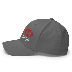 HFSP Bitcoin Cap - view 21