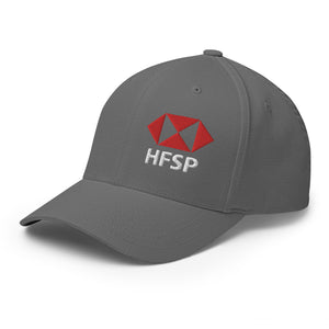 HFSP Bitcoin Cap - view 22