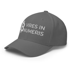 Bitcoin Vires In Numeris Cap - view 10