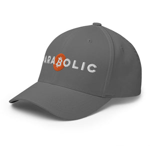 Parabolic Bitcoin Cap - view 22