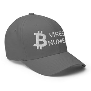 Bitcoin Vires In Numeris Cap - view 12