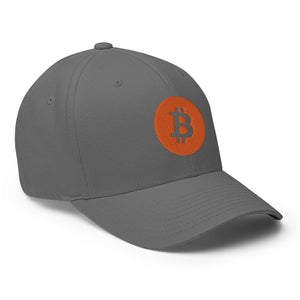 Bitcoin Cap - view 24