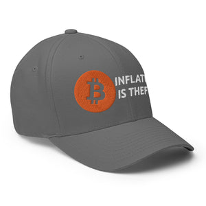Inflation is Theft Cap - view 24