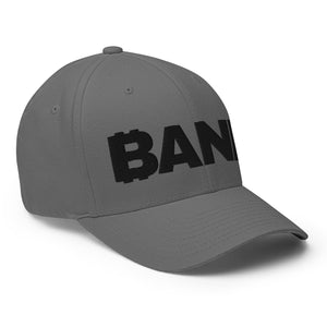 BANK Cap - view 24