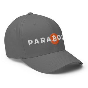 Parabolic Bitcoin Cap - view 24