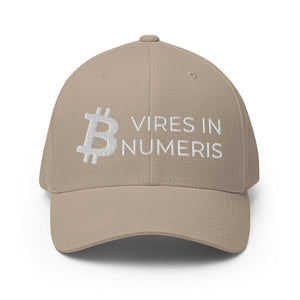 Bitcoin Vires In Numeris Cap - view 13