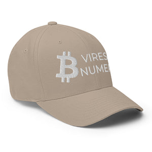 Bitcoin Vires In Numeris Cap - view 18