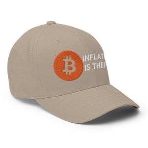 Inflation is Theft Cap - view 30