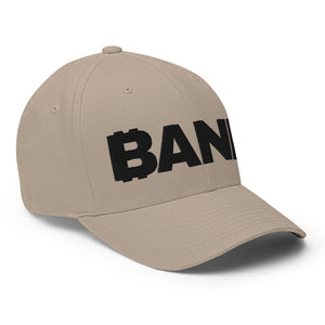 BANK Cap - view 30