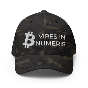 Bitcoin Vires In Numeris Cap - view 19