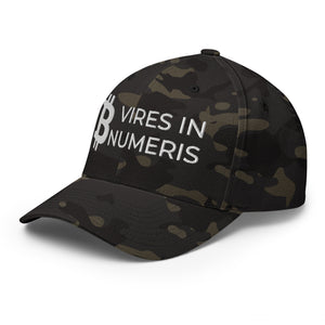 Bitcoin Vires In Numeris Cap - view 22
