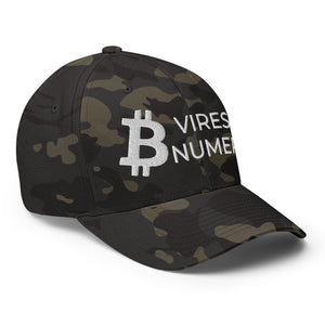 Bitcoin Vires In Numeris Cap - view 24