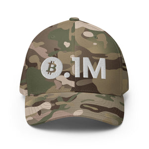 Bitcoin 0.1M Cap - view 8