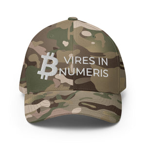 Bitcoin Vires In Numeris Cap - view 25