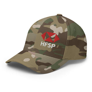 HFSP Bitcoin Cap - view 16