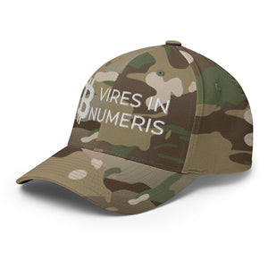 Bitcoin Vires In Numeris Cap - view 28