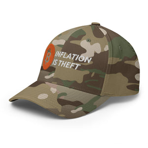 Inflation is Theft Cap - view 16