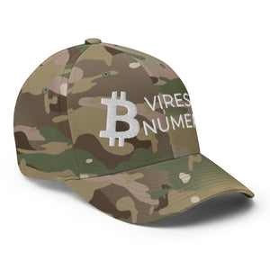 Bitcoin Vires In Numeris Cap - view 30