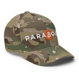 Parabolic Bitcoin Cap - view 18