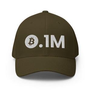 Bitcoin 0.1M Cap - view 9