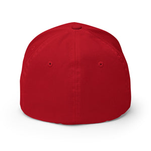 BTFD Cap - view 20