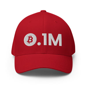 Bitcoin 0.1M Cap - view 7