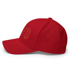 BTFD Cap - view 21