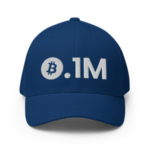 Bitcoin 0.1M Cap - view 6