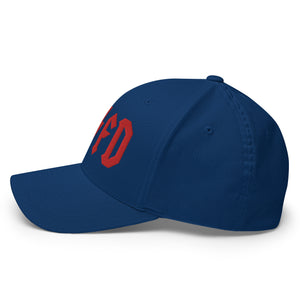 BTFD Cap - view 15