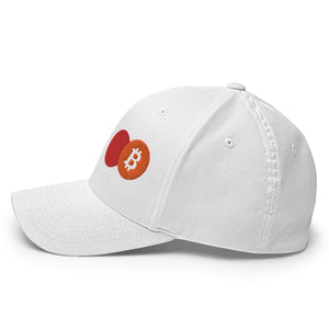Bitcoin Payment Rail Cap - view 21