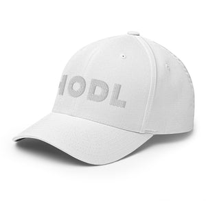 HODL Cap - view 11