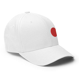 Bitcoin Payment Rail Cap - view 24