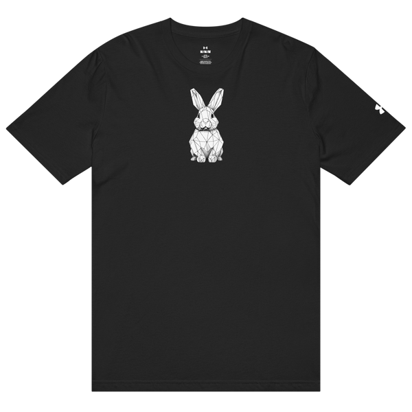 Follow the White Rabbit