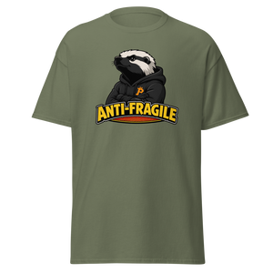 Antifragile