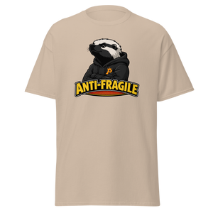 Antifragile