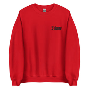Bitaxe Sweatshirt - front view