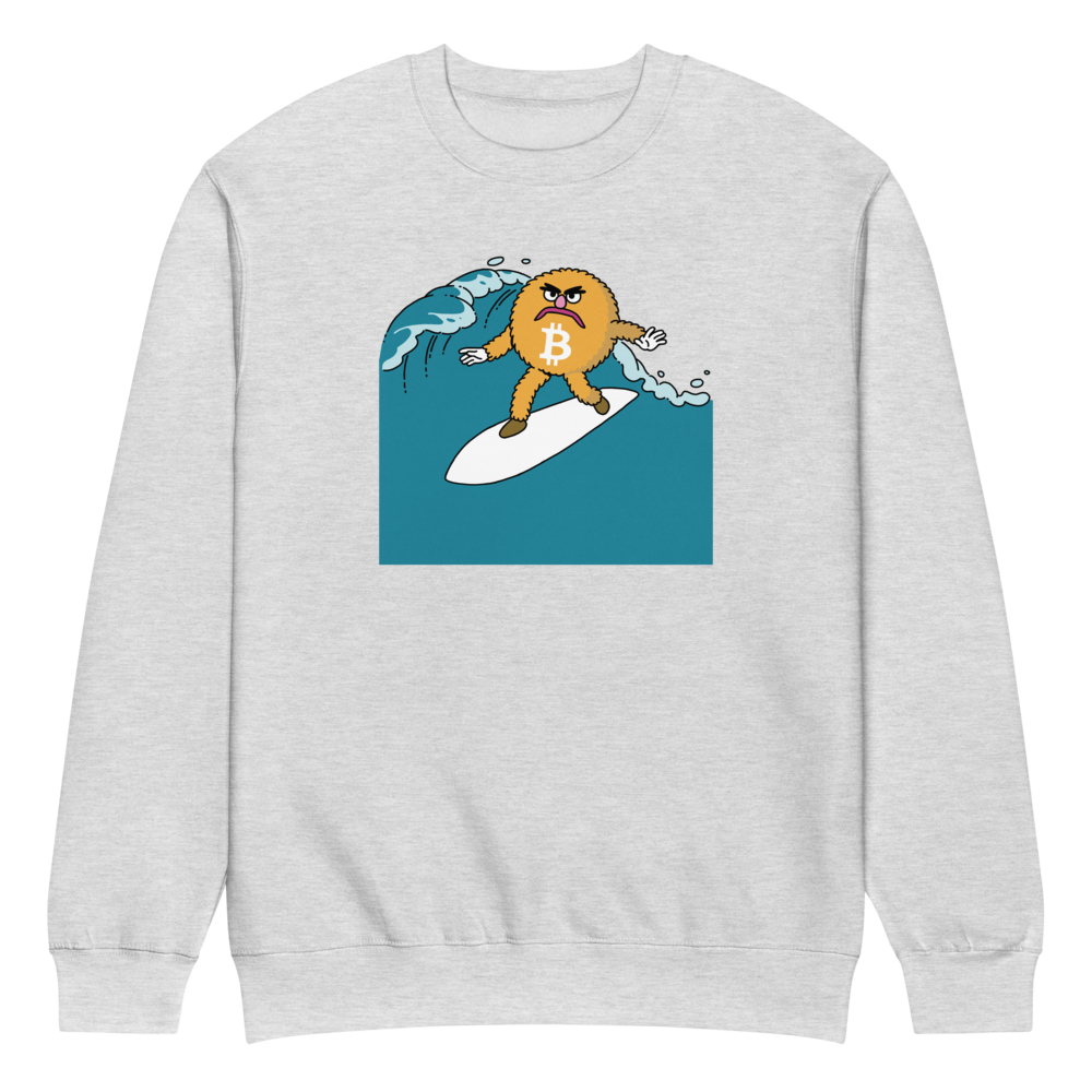 Here Comes Surfer Bitcoin