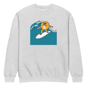 Here Comes Surfer Bitcoin