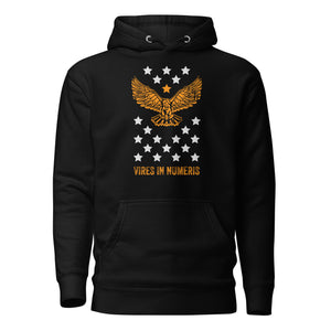 Vires in Numeris Hoodie - back view