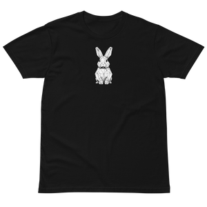 Follow the White Rabbit